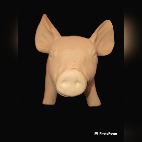 Piggy Bank - Picture 5 of 14